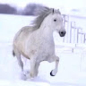 Meet your Posher, Mamiche